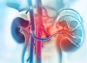 hyperkaliemie diagnostic 1